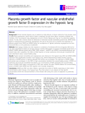 Báo cáo y học: "  Placenta growth factor and vascular endothelial growth factor B expression in the hypoxic lung"