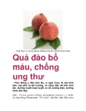 Quả đào bổ máu, chống ung thư