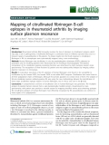 Báo cáo y học: "Mapping of citrullinated fibrinogen B-cell epitopes in rheumatoid arthritis by imaging surface plasmon resonance"
