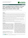 Báo cáo y học: "Matrix metalloproteinase-8 deficiency increases joint inflammation and bone erosion in the K/BxN serum-transfer arthritis model"