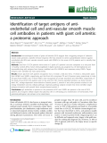 Báo cáo y học: "Identification of target antigens of antiendothelial cell and anti-vascular smooth muscle cell antibodies in patients with giant cell arteritis: a proteomic approach"