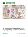 Báo cáo y học: "The Bruton tyrosine kinase inhibitor PCI-32765 ameliorates autoimmune arthritis by inhibition of multiple effector cells"