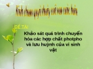 Đề tào: Khảo sát quá trình chuyển hóa các hợp chất photpho và lưu huỳnh của vi sinh vật
