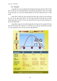 QUẢN TRỊ HỌC VÀ CÁC CHỨC NĂNG QUAN TRỌNG - 10