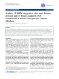 Báo cáo y học: "Analysis of XMRV integration sites from human prostate cancer tissues suggests PCR contamination rather than genuine human infection"