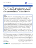 Báo cáo y học: "The HIV-1 Rev/RRE system is required for HIV-1 5’ UTR cis elements to augment encapsidation of heterologous RNA into HIV-1 viral particle"