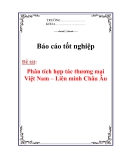 Luận văn: Phân tích hợp tác thương mại Việt Nam – Liên minh Châu Âu