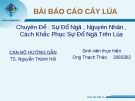 BÀI BÁO CÁO CÂY LÚA Chuyên Đề : Sự Đổ Ngã , Nguyên Nhân , Cách Khắc Phục Sự Đổ Ngã Trên Lúa