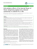 Báo cáo y học: "Anti-oxidative effects of the biennial flower of Panax notoginseng against"