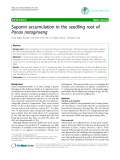 Báo cáo y học: "Saponin accumulation in the seedling root of Panax notoginseng"