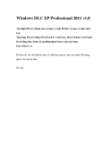Windows DLC XP Professional 2011 v1.0