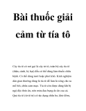 Bài thuốc giải cảm từ tía tôCây tía tô có nơi gọi là cây tử tô, toàn bộ