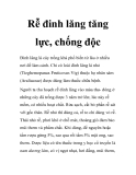 Rễ đinh lăng tăng lực, chống độc