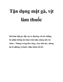 Tận dụng mật gà, vịt làm thuốc