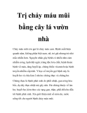 Trị chảy máu mũi bằng cây lá vườn nhà