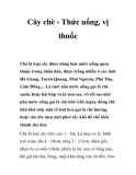 Cây chè - Thức uống, vị thuốc