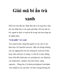 Giải mã bí ẩn trà xanh