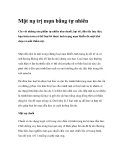 Mặt nạ trị mụn bằng tự nhiên