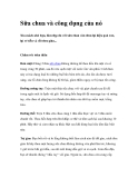Sữa chua và công dụng của nó