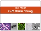 Test nhanh Vi sinh vật