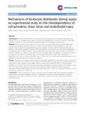 Báo cáo y học: "Mechanisms of leukocyte distribution during sepsis: an experimental study on the interdependence of cell activation, shear stress and endothelial injury"