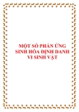 Đồ án " Thiết kế quy trình công nghệ trong việc tháo lắp và sửa chữa bánh lái tàu hàng tại công ty đóng tàu Hyundai Vinashin "