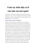 3 loài cây thần diệu sẽ là cứu tinh của loài người