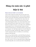 Hàng rào máu não và phát hiện lý thú