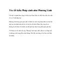 Tóc tết kiểu Pháp xinh như Phương Linh