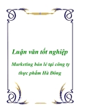 Luận văn: Marketing bán lẻ tại công ty thực phẩm Hà Đông