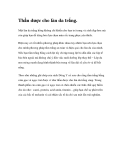 Thần dược cho làn da trắng
