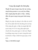 Cung cấp magiê cho thai phụ