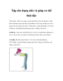 Tập cho bụng nhỏ và giúp cơ thể thải độc