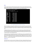Lịch sử hệ điều hành Microsoft