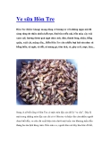 Ve sữa Hòn Tre Hòn Tre 
