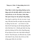 Nâng cao ý thức về răng miệng cho trẻ từ sớm 