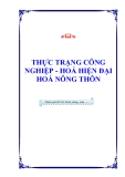 THỰC TRẠNG CÔNG NGHIỆP - HOÁ HIỆN ĐẠI HOÁ NÔNG THÔN