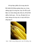 10 loại thực phẩm cần trong mùa hè 