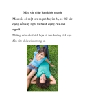 Màu sắc giúp bạn khỏe mạnh