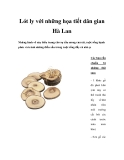 Lót ly với những họa tiết dân gian Hà Lan