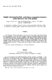 báo cáo khoa học: "Rabbit mitochondrial DNA : preliminary comparison between some domestic and wild animals Hajer"