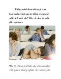 Thông minh hơn nhờ ngủ trưa