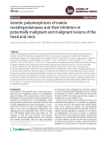 Genetic polymorphisms of matrix metalloproteinases and their inhibitors in potentially malignant and malignant lesions of the head and neck