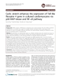 Cyclic stretch enhances the expression of Toll-like Receptor 4 gene in cultured cardiomyocytes via p38 MAP kinase and NF-B pathway