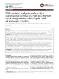 DNIC-mediated analgesia produced by a supramaximal electrical or a high-dose formalin conditioning stimulus: roles of opioid and a2-adrenergic receptors