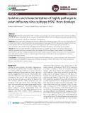 Isolation and characterization of highly pathogenic avian influenza virus subtype H5N1 from donkeys