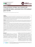 Characterization of Fabry mice treated with recombinant adeno-associated virus 2/8-mediated gene transfer