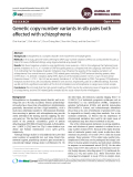 Genetic copy number variants in sib pairs both affected with schizophrenia
