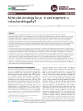 Molecular oncology focus - Is carcinogenesis a 'mitochondriopathy'?