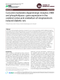 Curcumin modulates dopaminergic receptor, CREB and phospholipase c gene expression in the cerebral cortex and cerebellum of streptozotocin induced diabetic rats